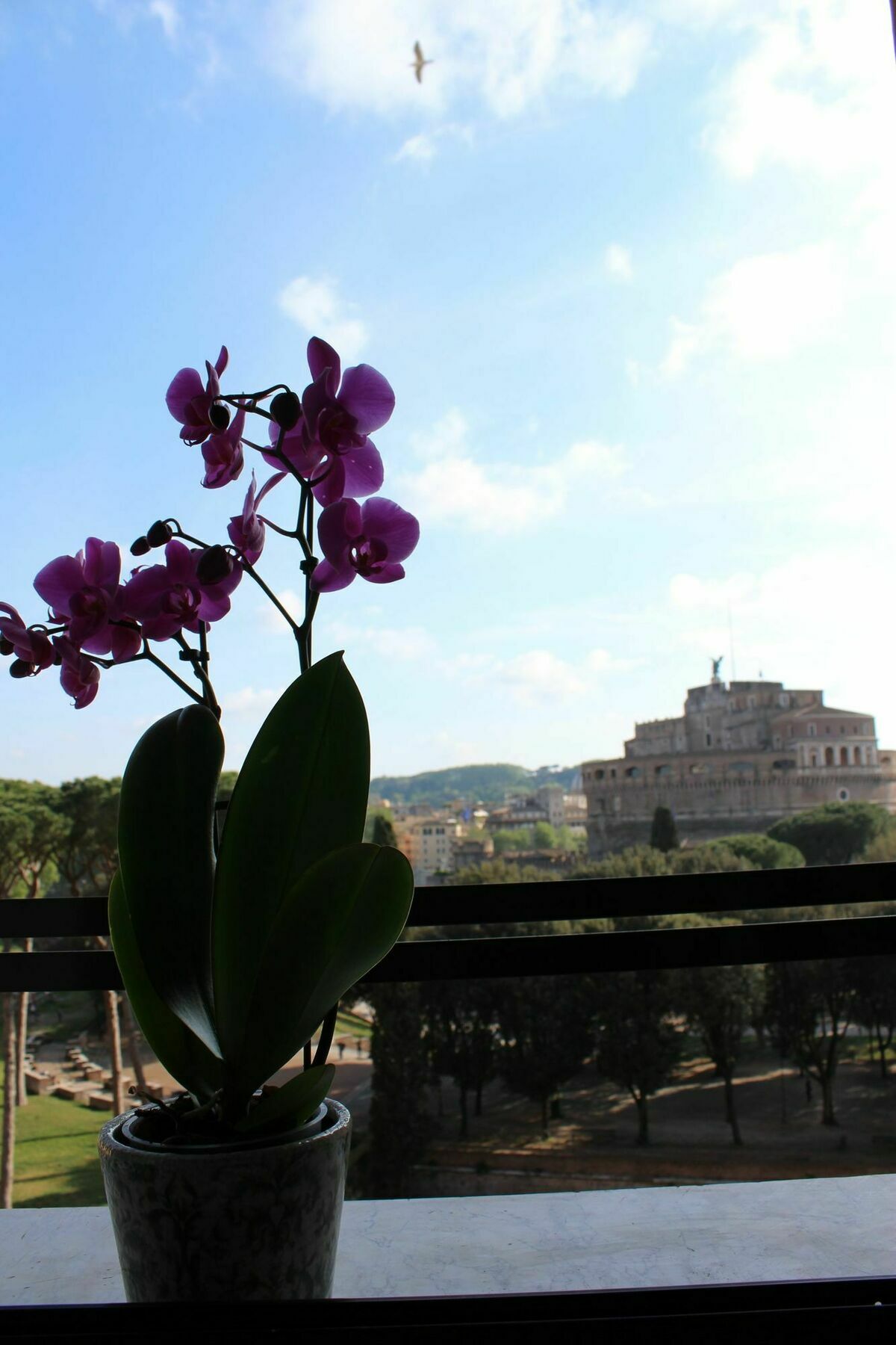 Castel Sant'Angelo Suite Rzym Zewnętrze zdjęcie